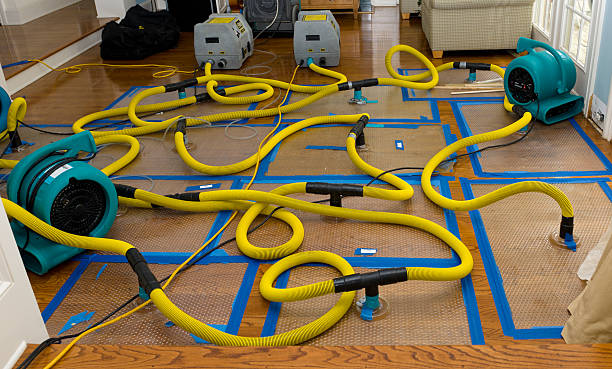 Professional Flood Damage Restoration technician working in Riverside, NY